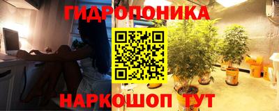 стаф Кунгур