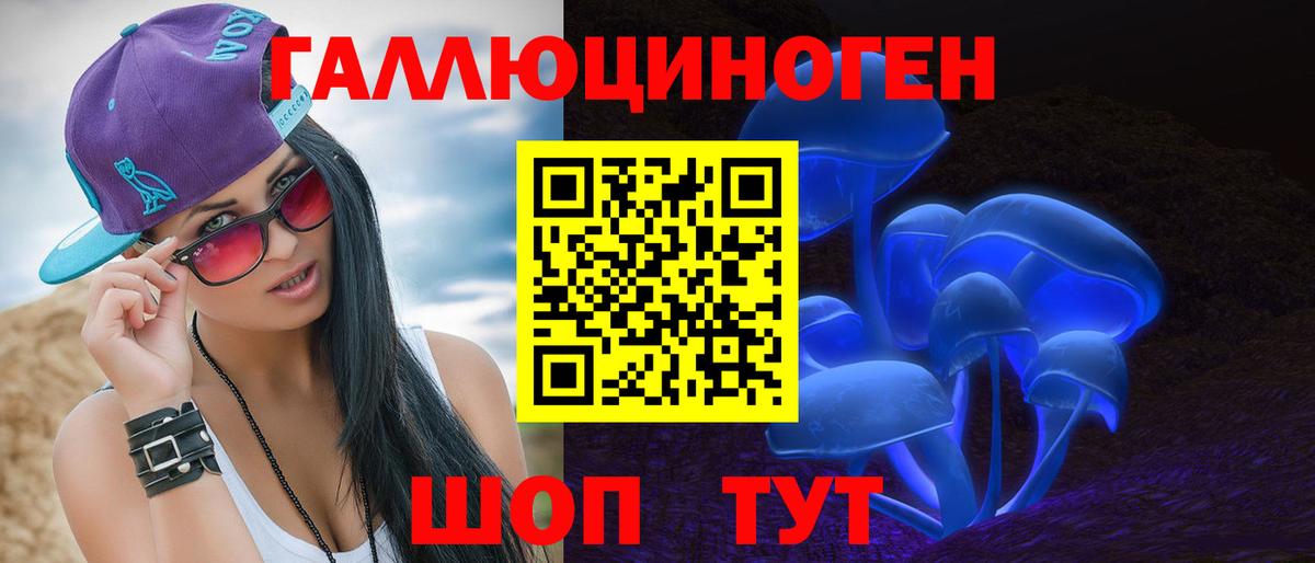 Гусев  Псилоцибиновые грибы GOLDEN TEACHER  Вход с VPN 